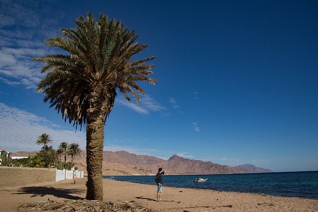 Wintering in Dahab, Egypt. 2020-2021